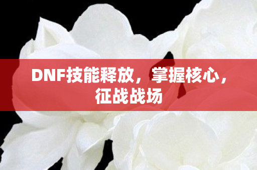DNF技能释放，掌握核心，征战战场