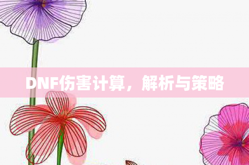 DNF伤害计算,解析与策略 DNF伤害计算,解析与策略