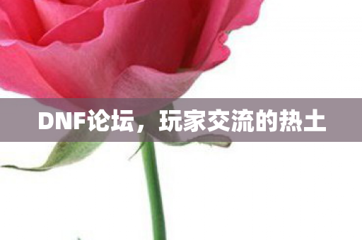 DNF论坛,玩家交流的热土 DNF论坛,玩家交流的热土