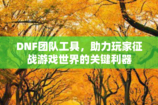 DNF团队工具,助力玩家征战游戏世界的关键利器 DNF团队工具,助力玩家征战游戏世界的关键利器