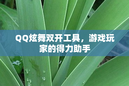 QQ炫舞双开工具,游戏玩家的得力助手 QQ炫舞双开工具,游戏玩家的得力助手