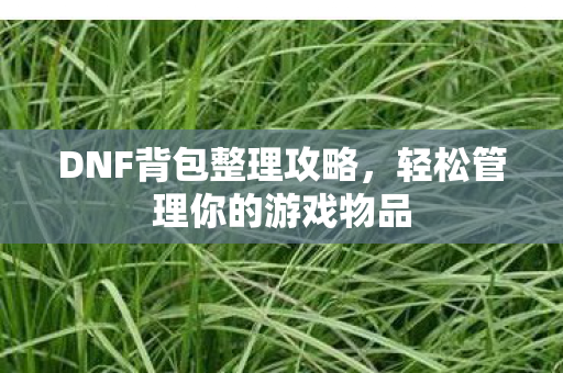 DNF背包整理攻略,轻松管理你的游戏物品 DNF背包整理攻略,轻松管理你的游戏物品