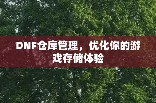 DNF仓库管理,优化你的游戏存储体验 DNF仓库管理,优化你的游戏存储体验