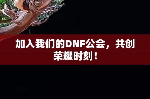 加入我们的DNF公会，共创荣耀时刻！