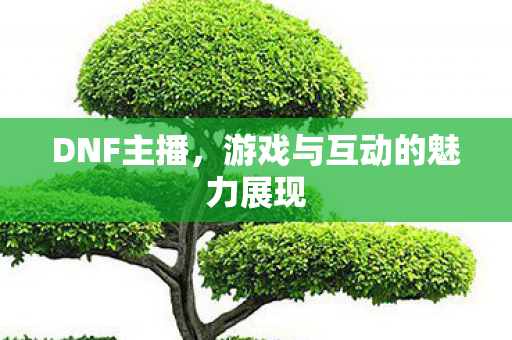 DNF主播,游戏与互动的魅力展现 DNF主播,游戏与互动的魅力展现