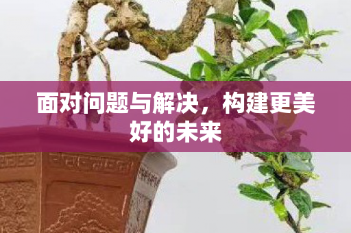 面对问题与解决，构建更美好的未来