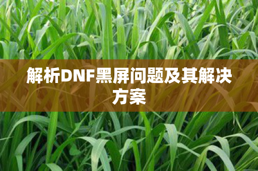 解析DNF黑屏问题及其解决方案 解析DNF黑屏问题及其解决方案
