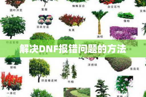解决DNF报错问题的方法 解决DNF报错问题的方法