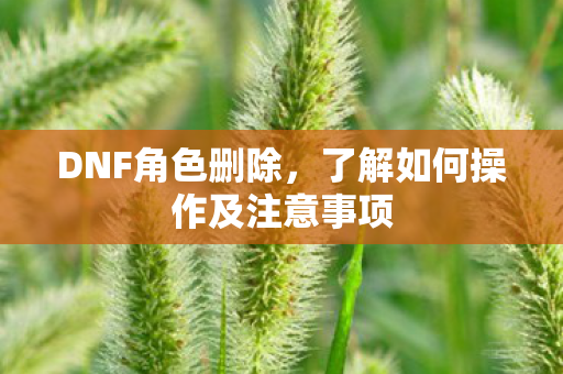 DNF角色删除,了解如何操作及注意事项 DNF角色删除,了解如何操作及注意事项