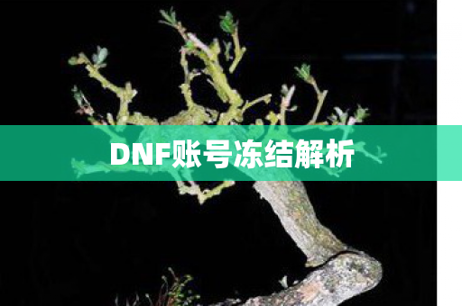DNF账号冻结解析