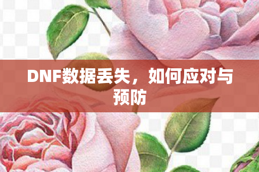 DNF数据丢失，如何应对与预防