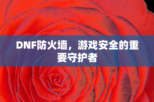 DNF防火墙，游戏安全的重要守护者