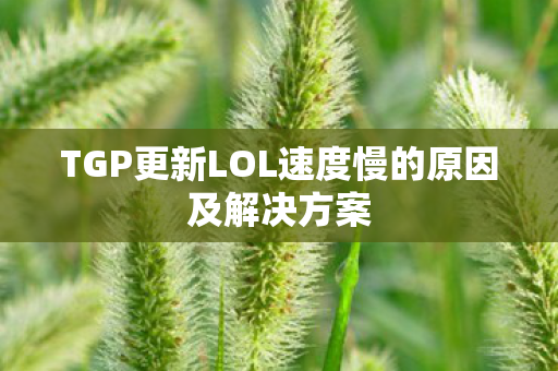TGP更新LOL速度慢的原因及解决方案 TGP更新LOL速度慢的原因及解决方案