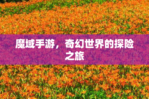 魔域手游，奇幻世界的探险之旅