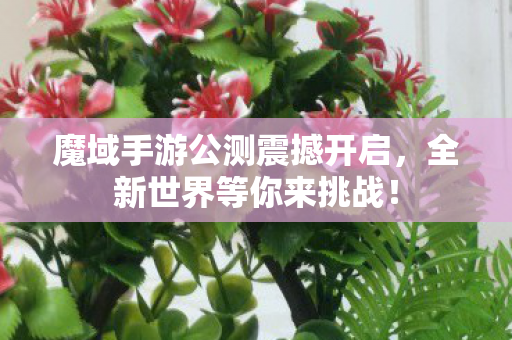 魔域手游公测震撼开启,全新世界等你来挑战! 魔域手游公测震撼开启,全新世界等你来挑战!
