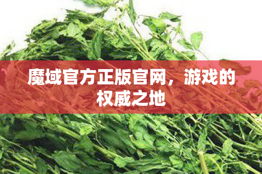 魔域官方正版官网,游戏的权威之地 魔域官方正版官网,游戏的权威之地