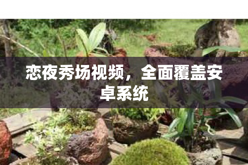 恋夜秀场视频,全面覆盖安卓系统 恋夜秀场视频,全面覆盖安卓系统