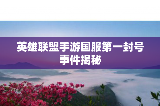 英雄联盟手游国服第一封号事件揭秘 英雄联盟手游国服第一封号事件揭秘