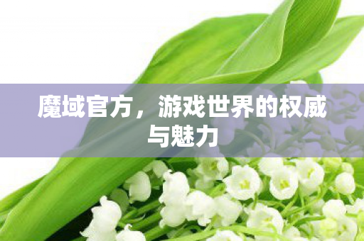 魔域官方,游戏世界的权威与魅力 魔域官方,游戏世界的权威与魅力