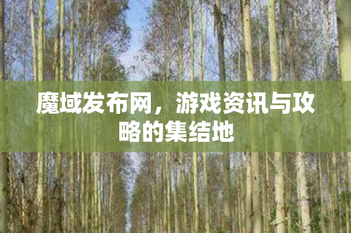 魔域发布网,游戏资讯与攻略的集结地 魔域发布网,游戏资讯与攻略的集结地
