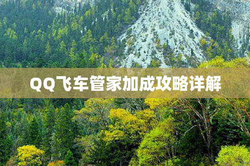 QQ飞车管家加成攻略详解 QQ飞车管家加成攻略详解
