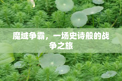 魔域争霸,一场史诗般的战争之旅 魔域争霸,一场史诗般的战争之旅