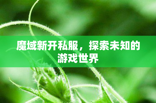 魔域新开私服，探索未知的游戏世界