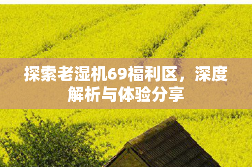 探索老湿机69福利区,深度解析与体验分享 探索老湿机69福利区,深度解析与体验分享