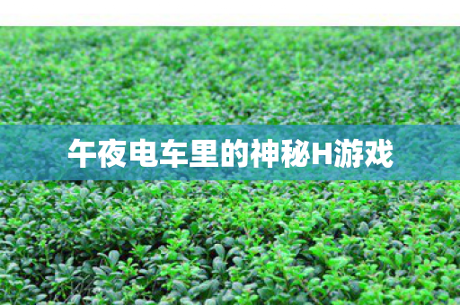午夜电车里的神秘H游戏 午夜电车里的神秘H游戏
