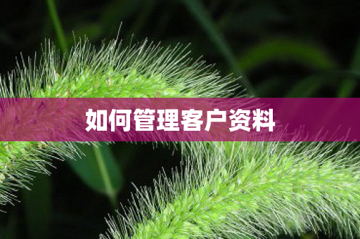 如何管理客户资料 如何管理客户资料