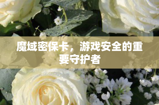魔域密保卡,游戏安全的重要守护者 魔域密保卡,游戏安全的重要守护者