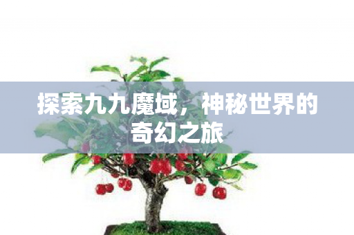 探索九九魔域，神秘世界的奇幻之旅