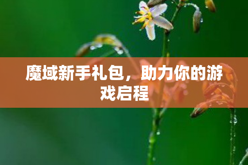 魔域新手礼包,助力你的游戏启程 魔域新手礼包,助力你的游戏启程