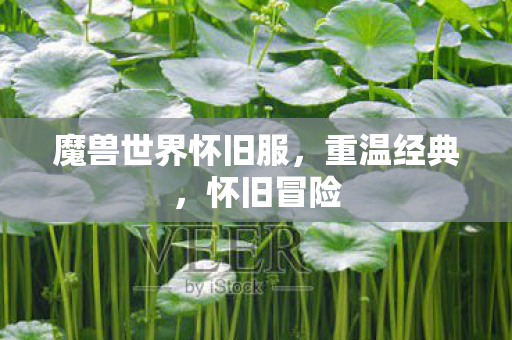 魔兽世界怀旧服，重温经典，怀旧冒险
