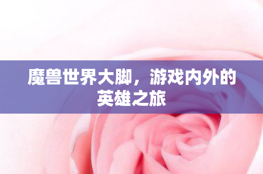 魔兽世界大脚，游戏内外的英雄之旅