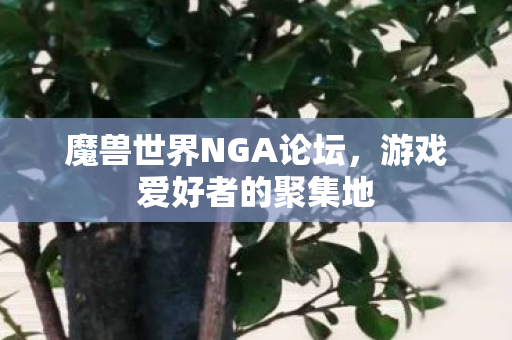 魔兽世界NGA论坛,游戏爱好者的聚集地 魔兽世界NGA论坛,游戏爱好者的聚集地