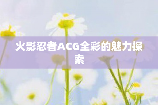 火影忍者ACG全彩的魅力探索