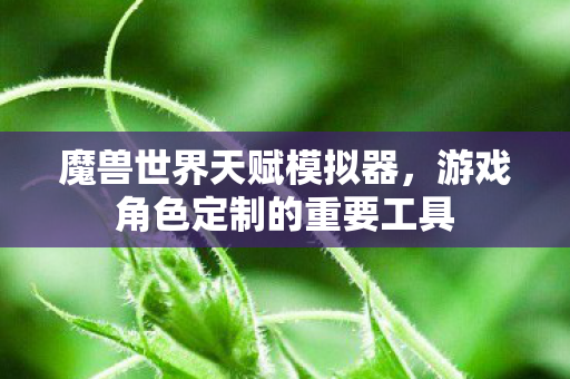 魔兽世界天赋模拟器，游戏角色定制的重要工具