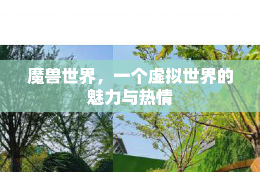 魔兽世界,一个虚拟世界的魅力与热情 魔兽世界,一个虚拟世界的魅力与热情