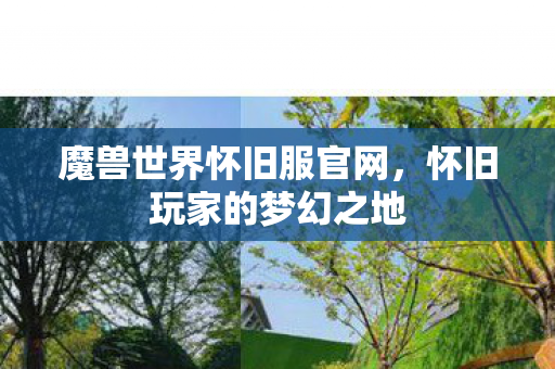 魔兽世界怀旧服官网,怀旧玩家的梦幻之地 魔兽世界怀旧服官网,怀旧玩家的梦幻之地