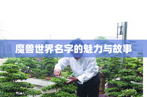 魔兽世界名字的魅力与故事