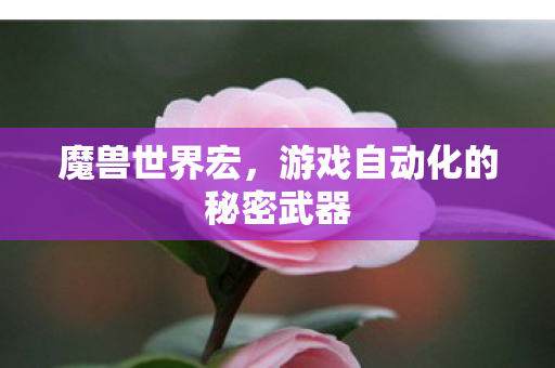 魔兽世界宏，游戏自动化的秘密武器