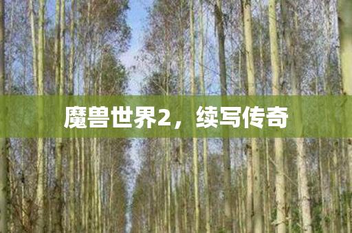 魔兽世界2,续写传奇 魔兽世界2,续写传奇