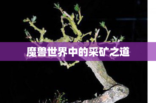 魔兽世界中的采矿之道 魔兽世界中的采矿之道