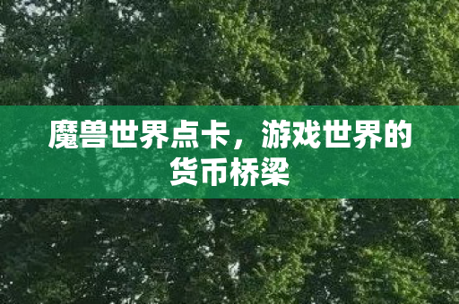 魔兽世界点卡,游戏世界的货币桥梁 魔兽世界点卡,游戏世界的货币桥梁