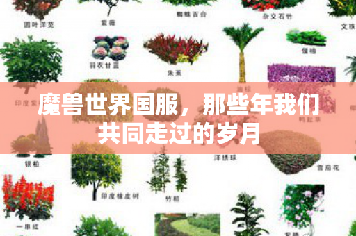 魔兽世界国服,那些年我们共同走过的岁月 魔兽世界国服,那些年我们共同走过的岁月