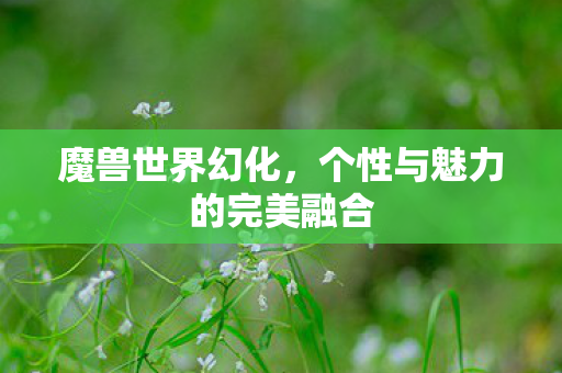 魔兽世界幻化,个性与魅力的完美融合 魔兽世界幻化,个性与魅力的完美融合