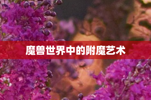 魔兽世界中的附魔艺术 魔兽世界中的附魔艺术