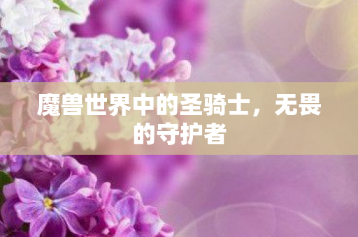 魔兽世界中的圣骑士,无畏的守护者 魔兽世界中的圣骑士,无畏的守护者