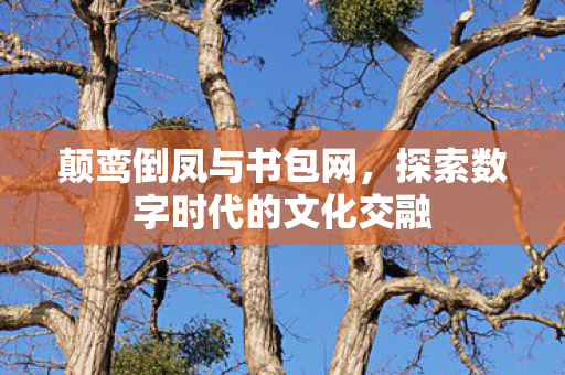 颠鸾倒凤与书包网,探索数字时代的文化交融 颠鸾倒凤与书包网,探索数字时代的文化交融